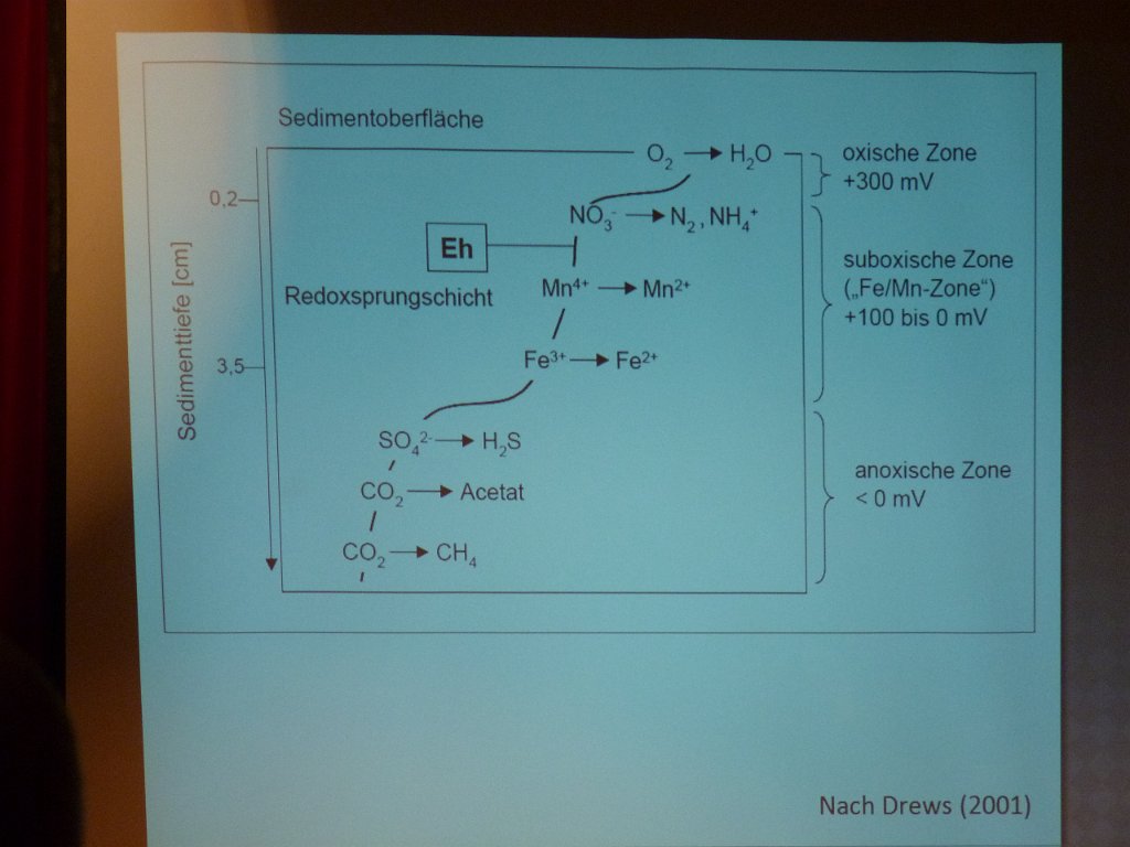 31.August 2011,  0108.JPG